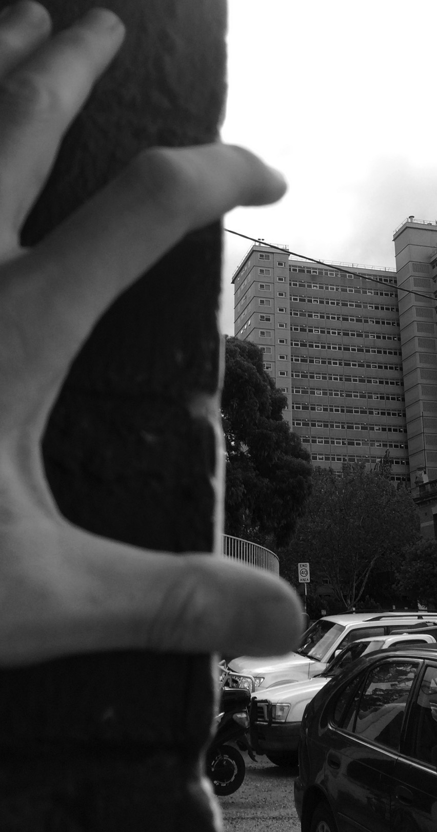 David-McBurney-YSG2b