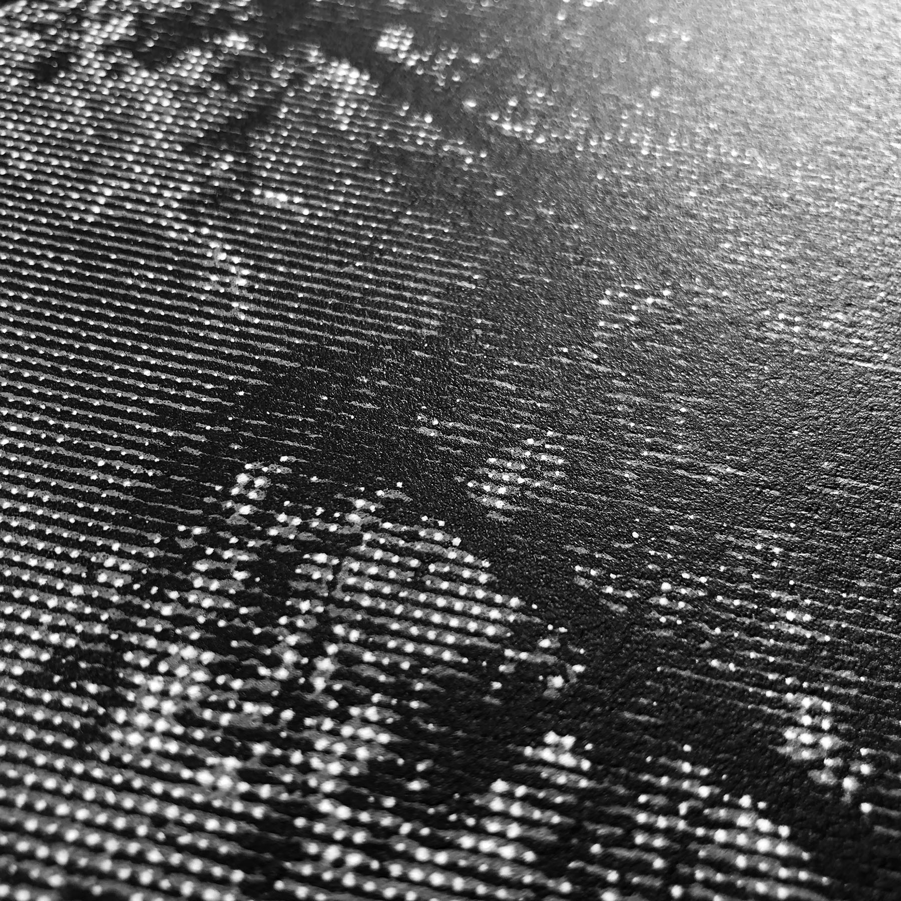 searching-for-nature-detail-1